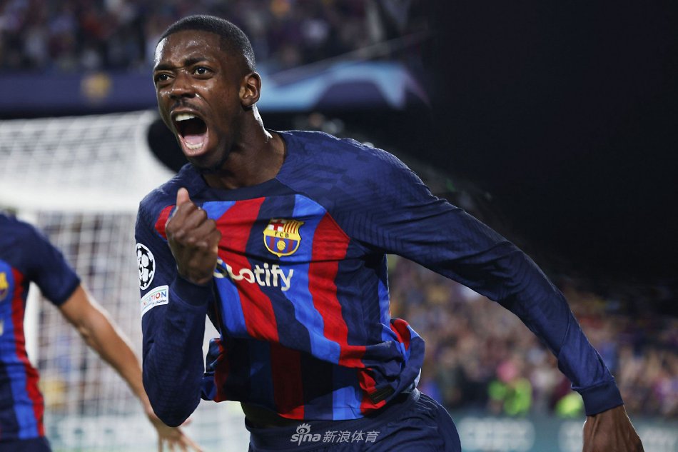 兹未来去向 兹未来去向