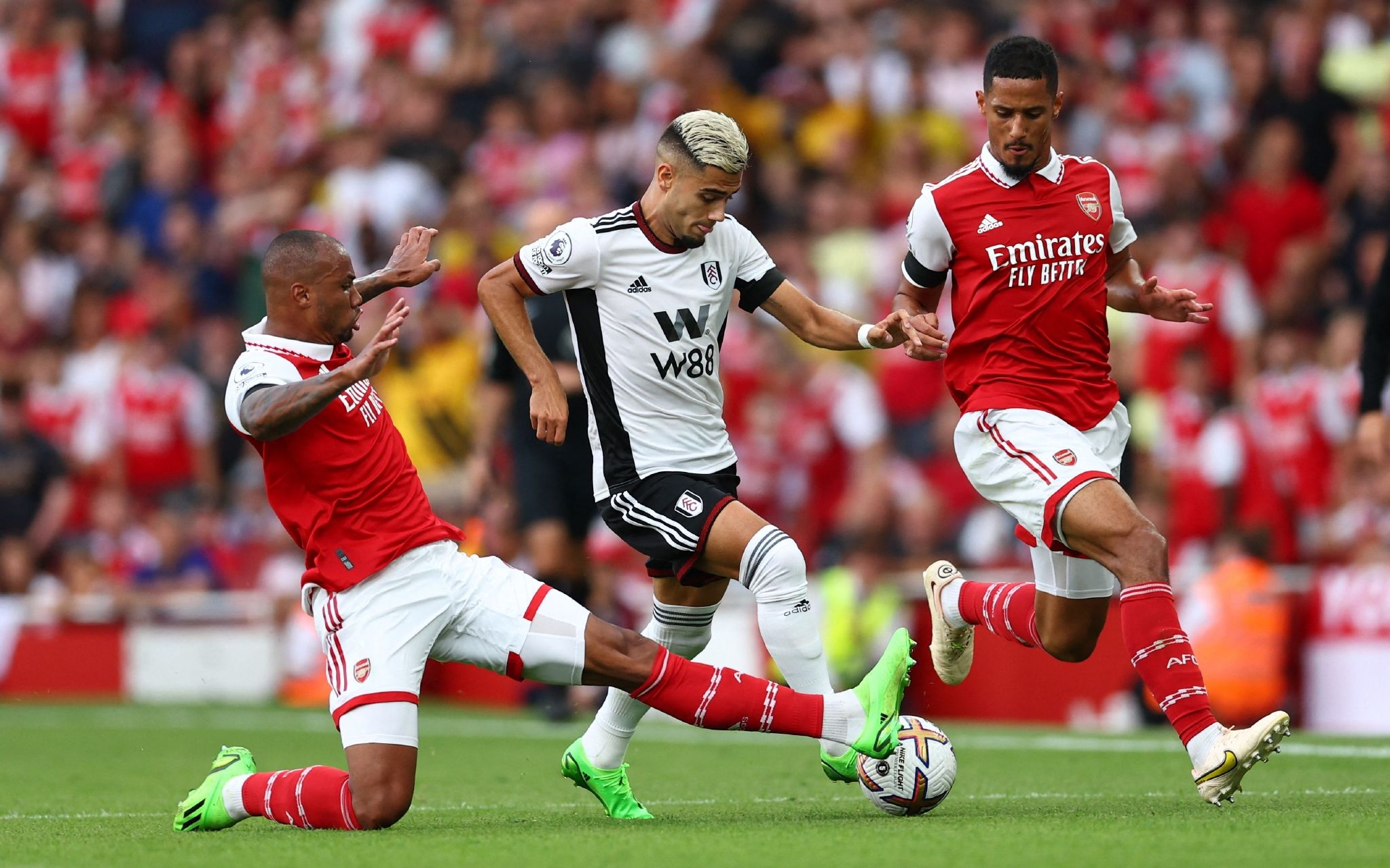 再次验证了 再次验证了